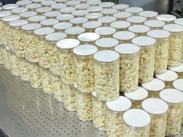 森林老爹椰子脆块批发OEM/ODM代加工