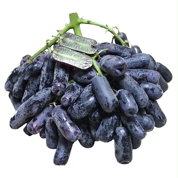 森林老爹干果加工厂干果批发