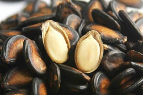 森林老爹坚果代工厂专业坚果代加工