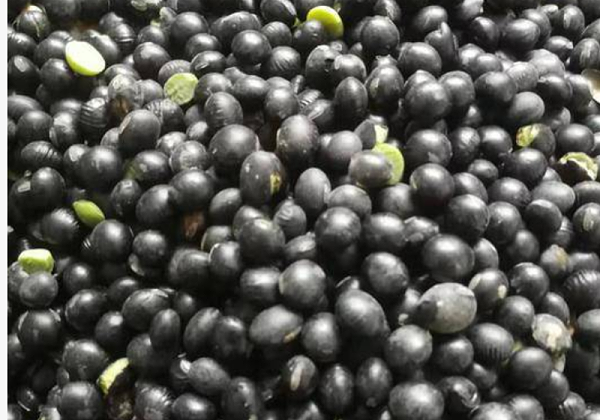 森林老爹干果代工厂坚果贴牌代工