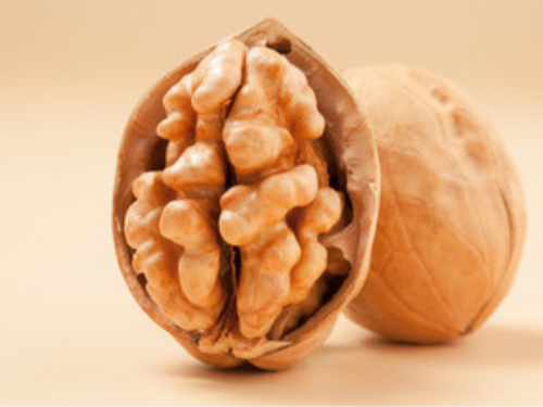 震惊！两只小动物的友谊，竟始于一场“坚果劫案”-森林老爹坚果代工厂